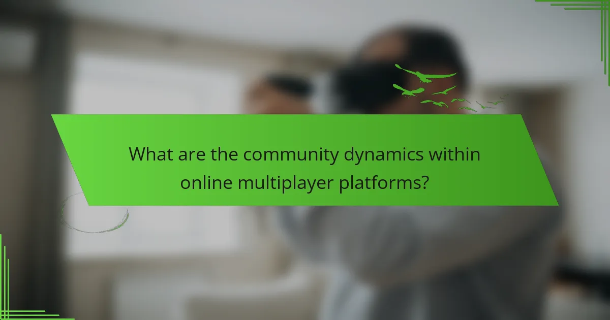 What are the community dynamics within online multiplayer platforms?
