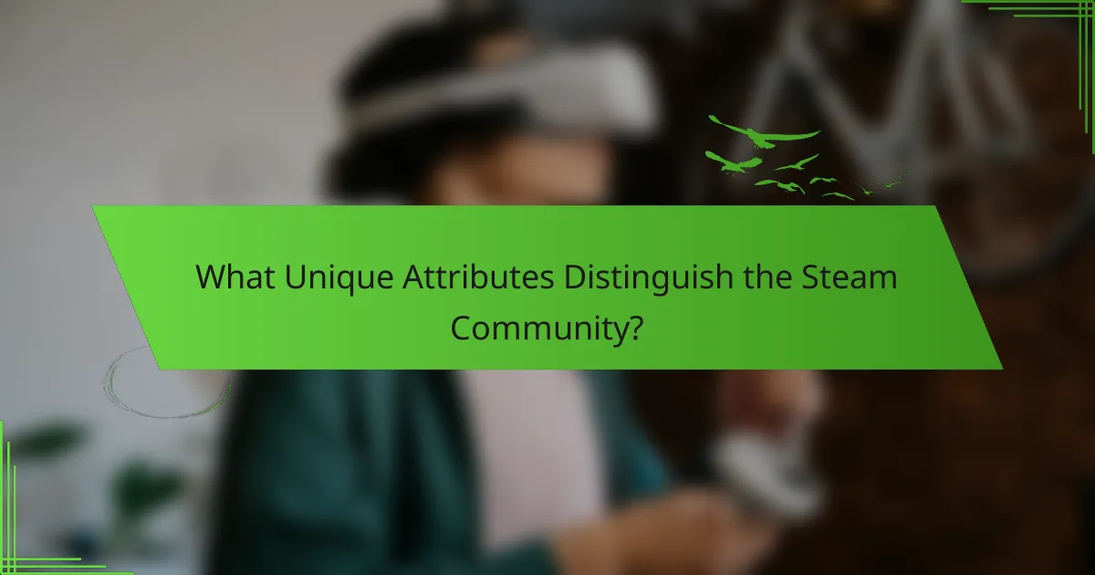 What Unique Attributes Distinguish the Steam Community?