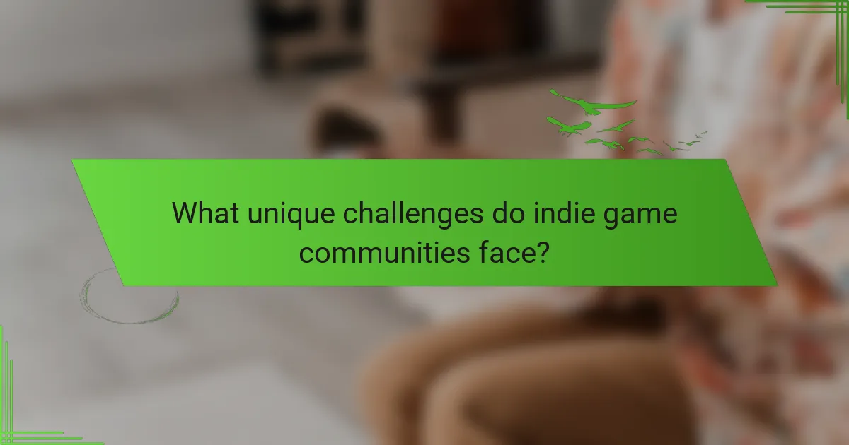 What unique challenges do indie game communities face?